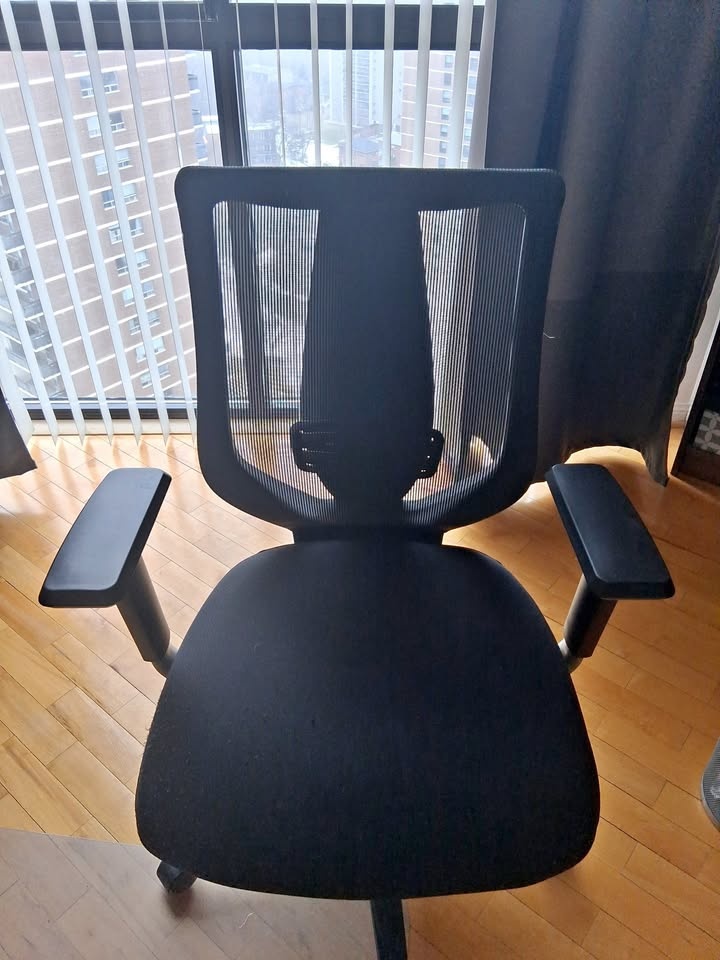 Moving Sale – Ergonomic Office Chair – Mesh Back –  OBO