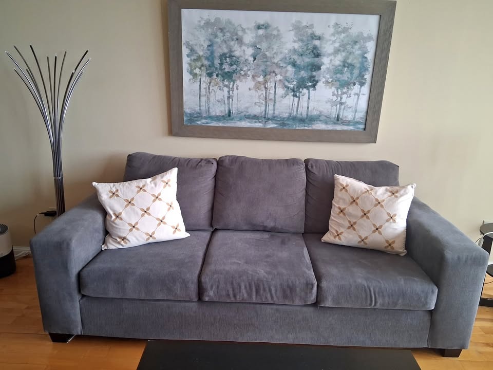 Moving Sale – Modern Grey 3-Seat Sofa – $150 OBO
