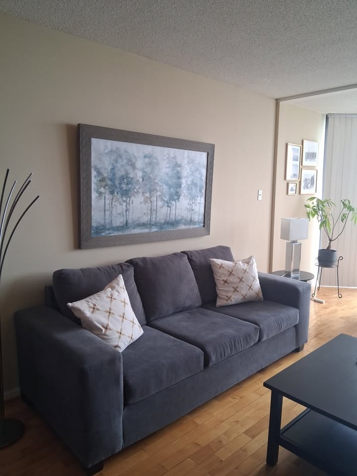 Moving Sale – Modern Grey 3-Seat Sofa – $150 OBO - photo 3