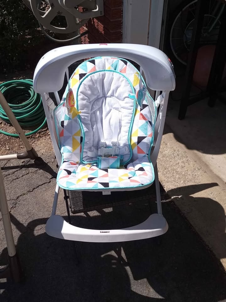Baby chair and swing