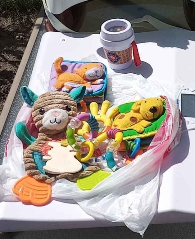 Baby toys/books