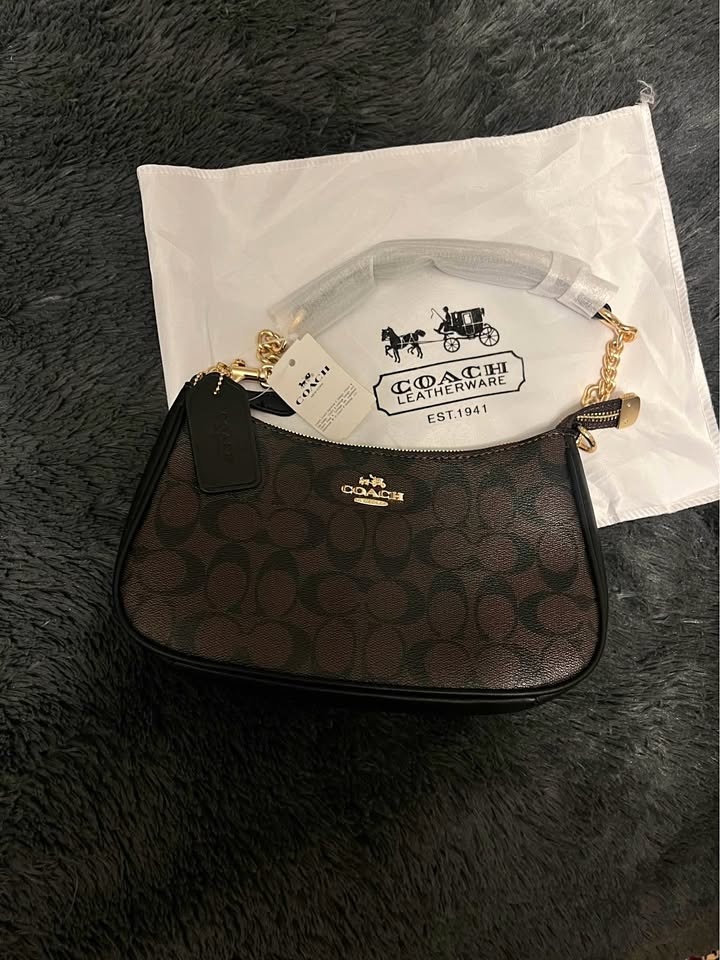Brown Coach Teri Bag