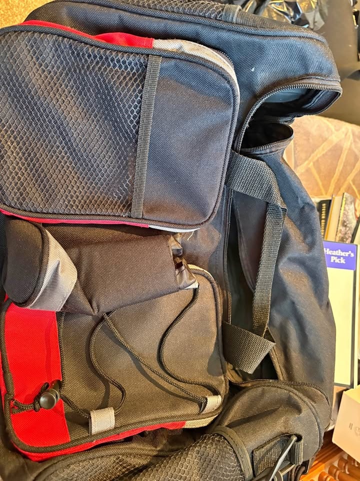 Black Red Small Cooler Backpack Bag