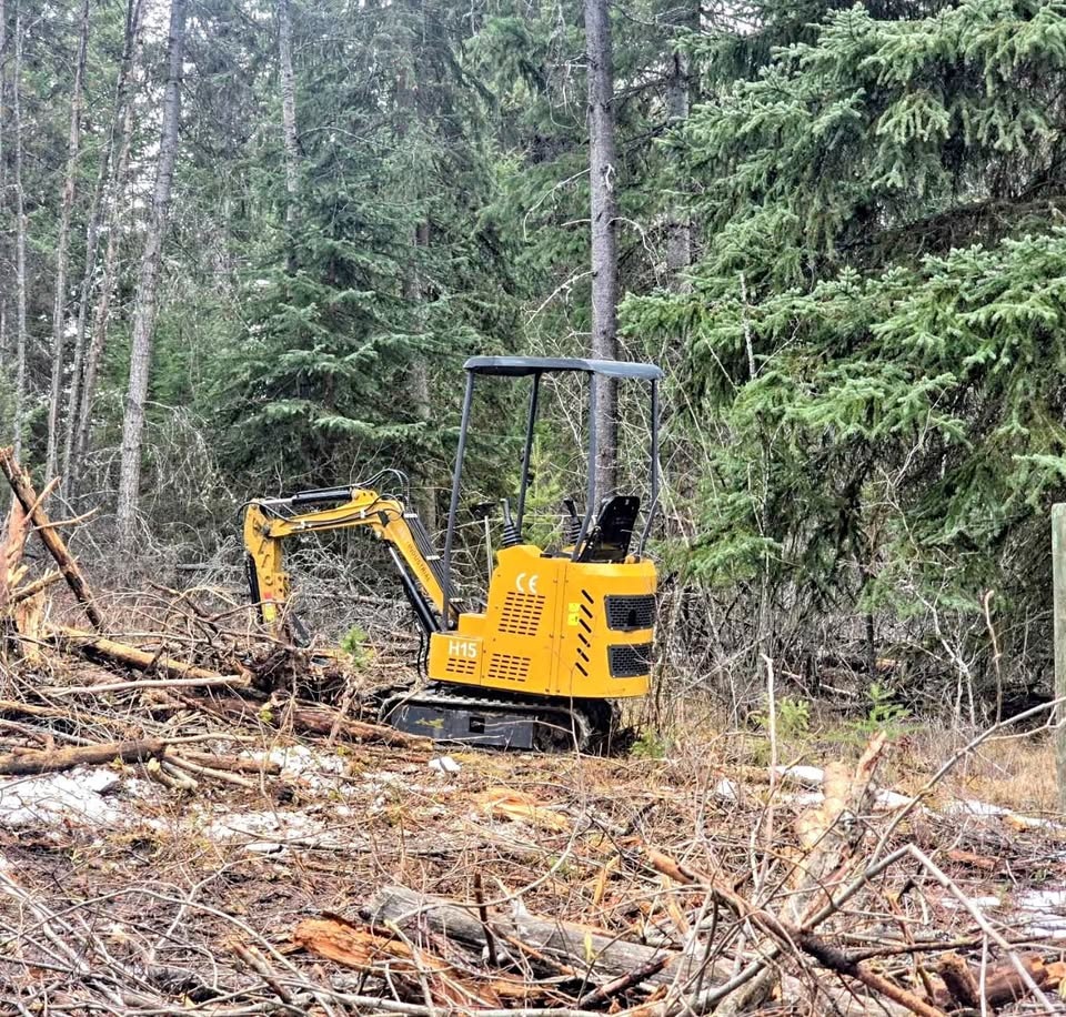 Mini excavator for hire