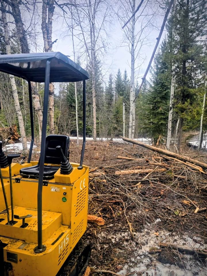Mini excavator for hire - photo 2