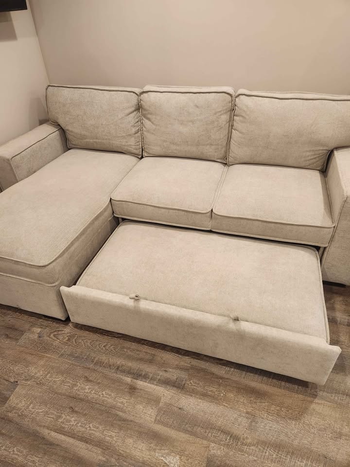 Pullout Sofa with Chaise - photo 4