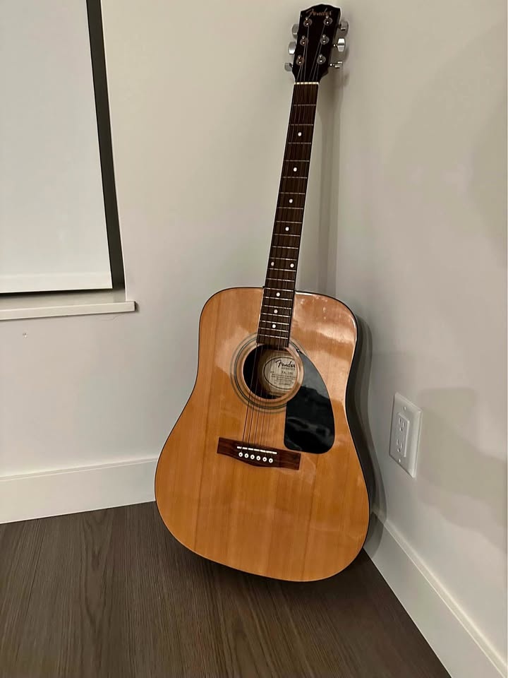 Fender FA100