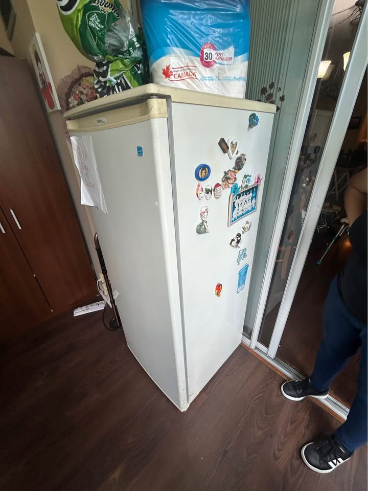 Freezer / Large Freezer - photo 3