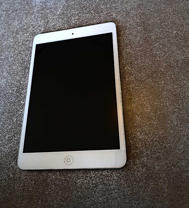 iPad Mini 1st Gen - $5 - photo 2