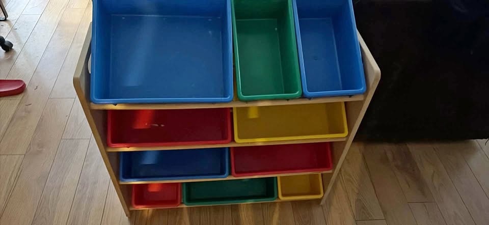 Bin organizer