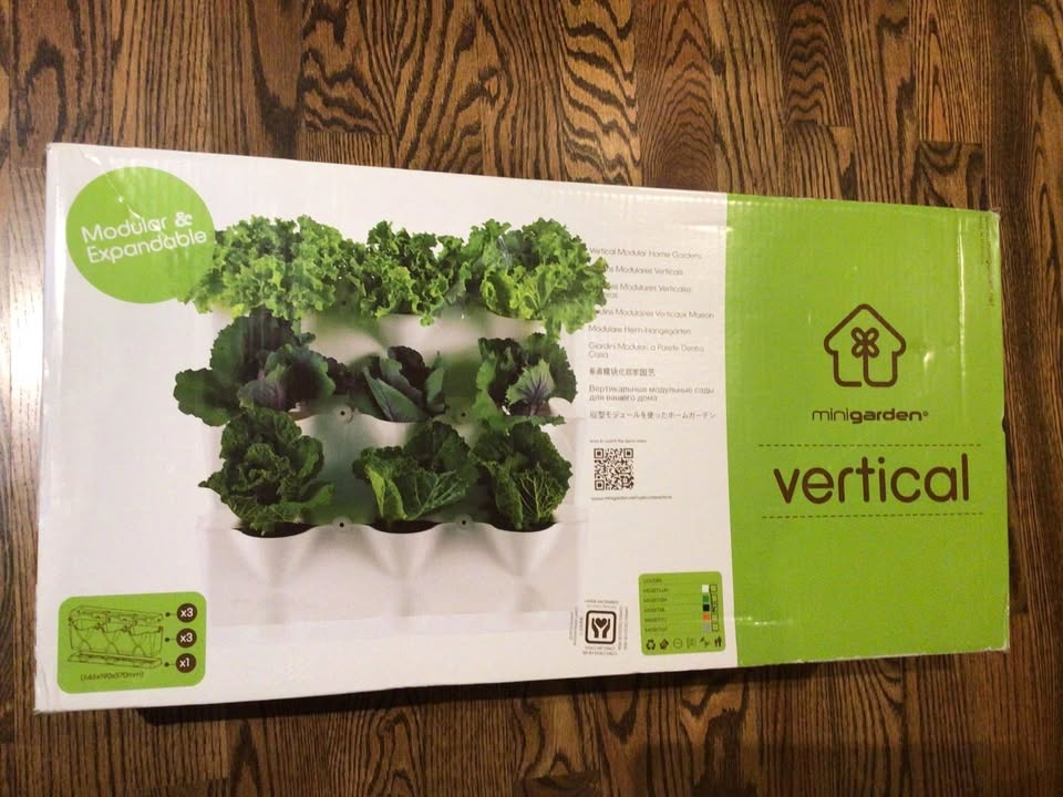 Mini vertical garden