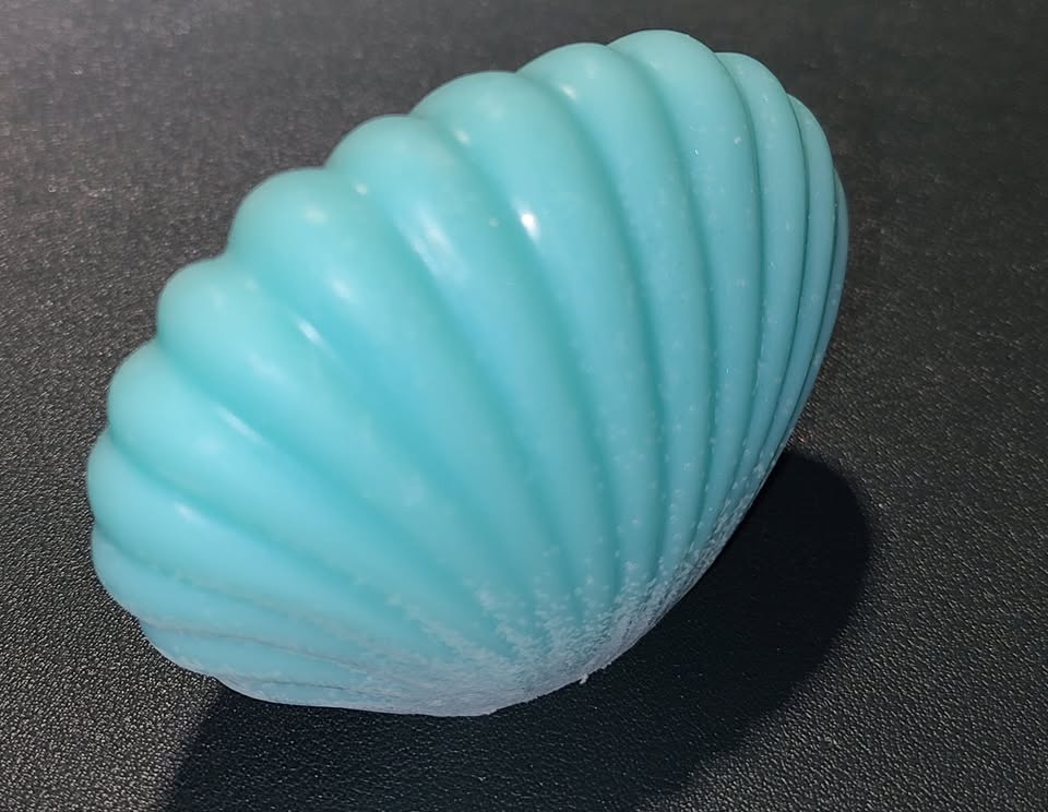 LG Scallop Shell Soap #1 - photo 2