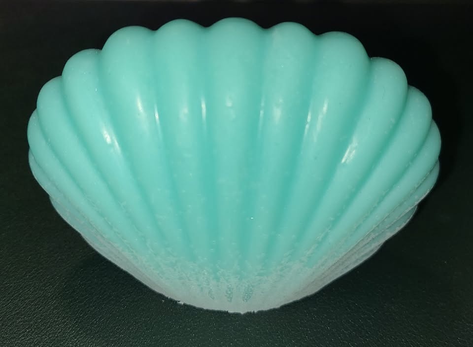LG Scallop Shell Soap #1 - photo 4