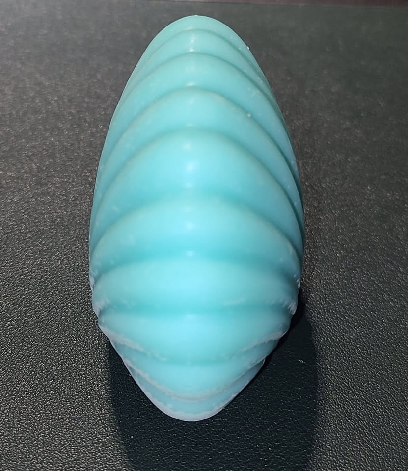 LG Scallop Shell Soap #1 - photo 5