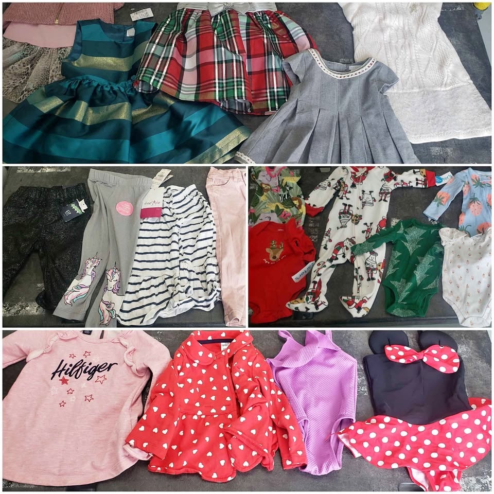 Baby Girls Clothing Bundle (20+ Items)