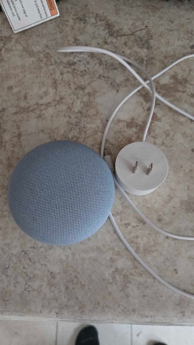Blue Google Home Mini