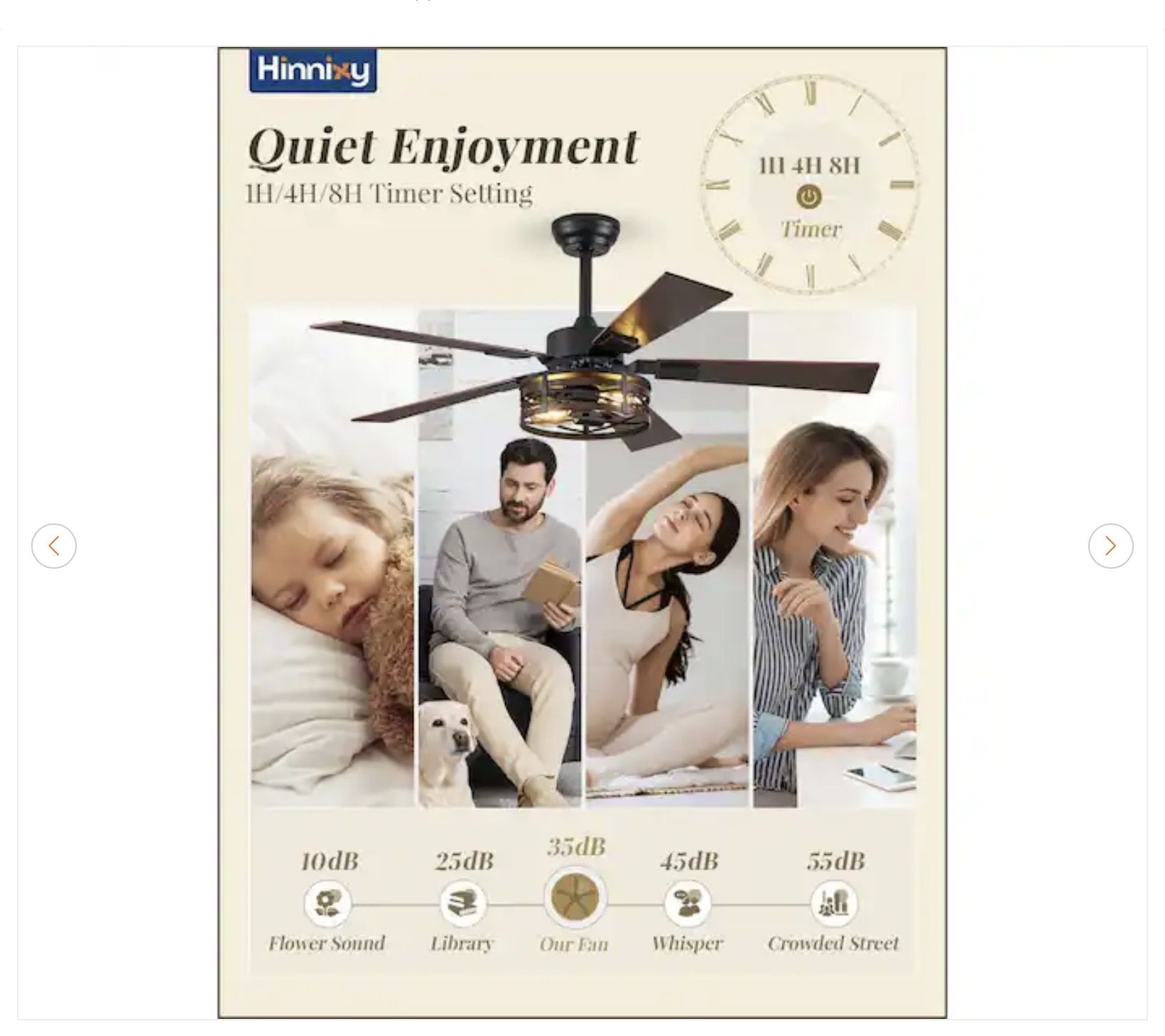 48 in. Indoor Black Farmhouse Caged Ceiling Fan - photo 3