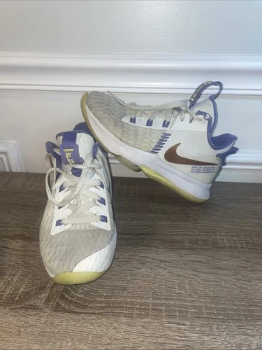 Nike LeBron Witness 5 Lakers Basketball Shoes Size 4.5Y