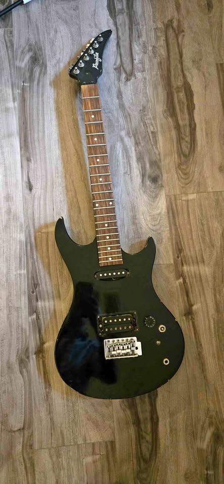 Project Guitar