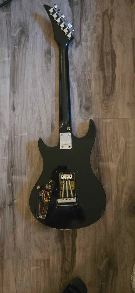 Project Guitar - photo 2