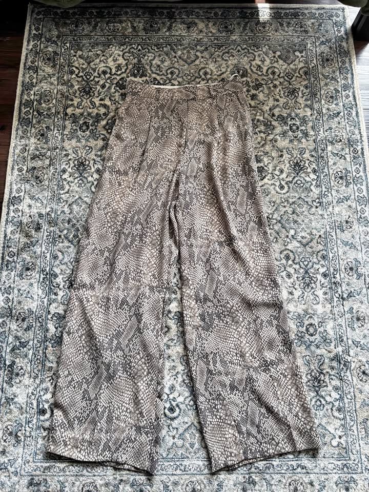 Aritzia pants