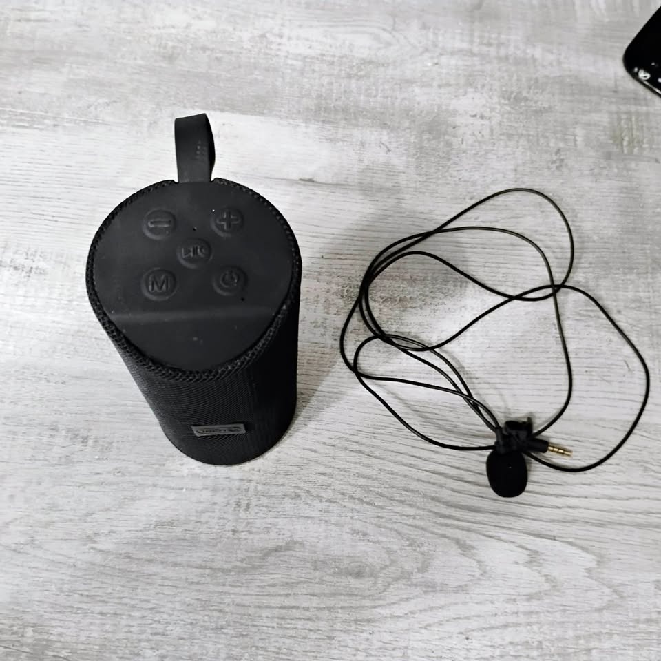 Microphone & Speaker Set
