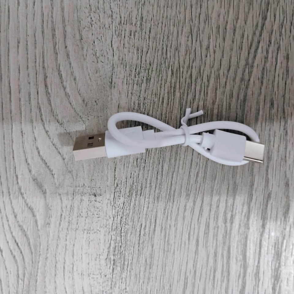 Earbuds With Charger - photo 3