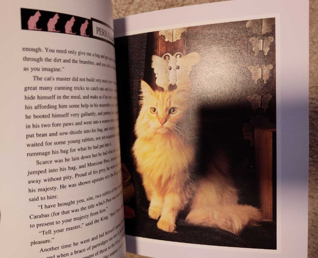 Cat Tales: Classic Stories from Favorite Writers - photo 3
