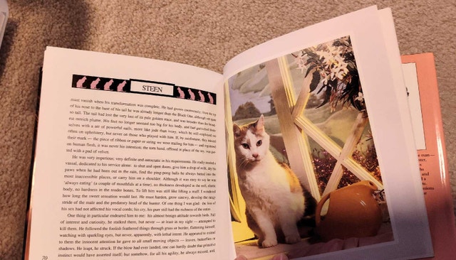 Cat Tales: Classic Stories from Favorite Writers - photo 4