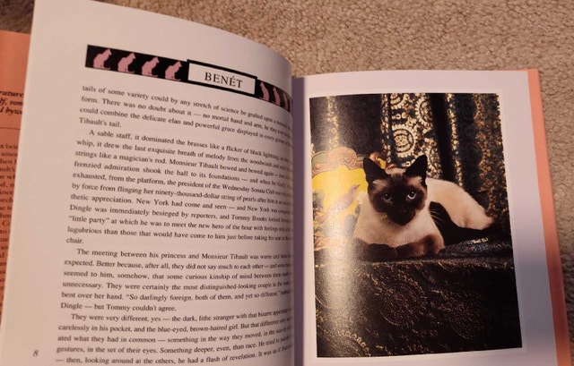 Cat Tales: Classic Stories from Favorite Writers - photo 5