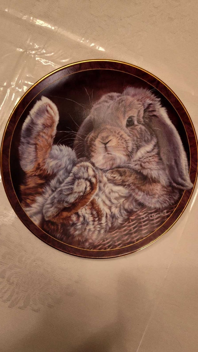 Bradford Exchange Bunny Tales Plate - Footloose