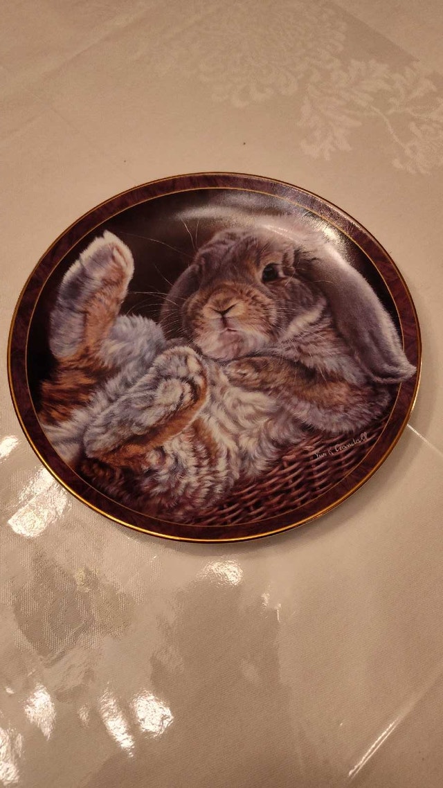 Bradford Exchange Bunny Tales Plate - Footloose - photo 2