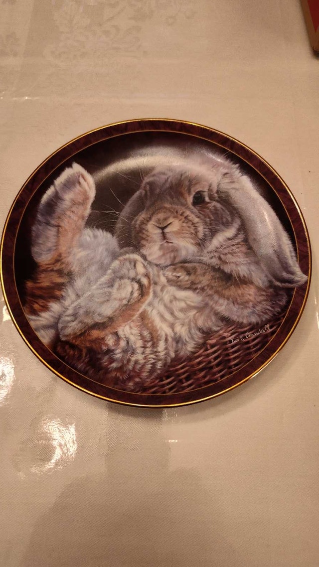 Bradford Exchange Bunny Tales Plate - Footloose - photo 4