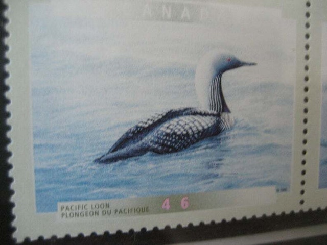 Rare Limited Edition Framed Post Masters Canada Stamp Set - photo 4