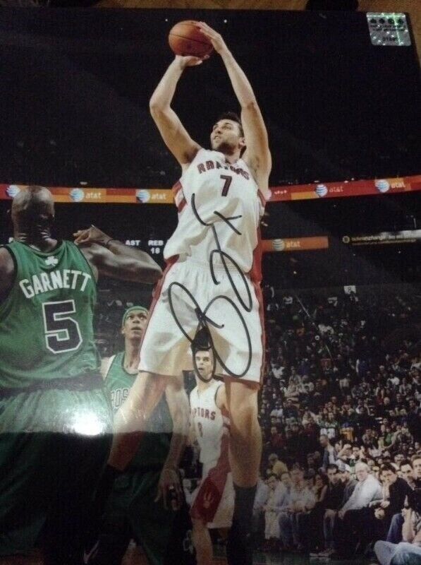 Toronto Raptors Andrea Bargnani Signed + COA