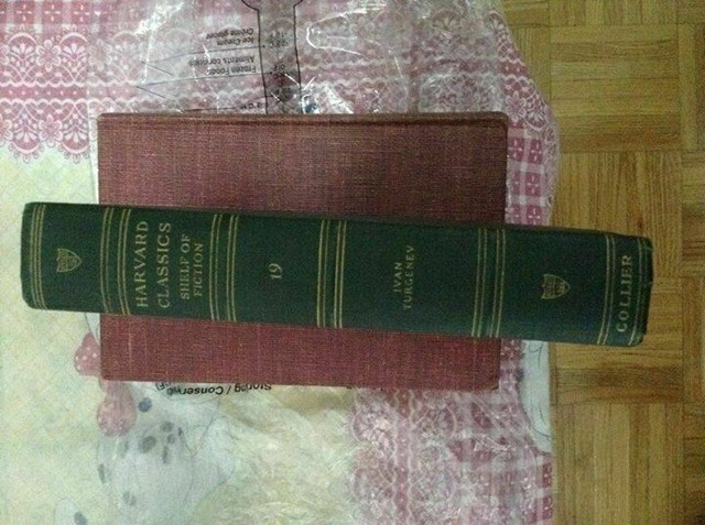 A House of Gentlefolk & Fathers and Children-Ivan Turgenev - photo 3