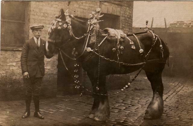 Antique King George VI Coronation Horse Bridle - photo 2