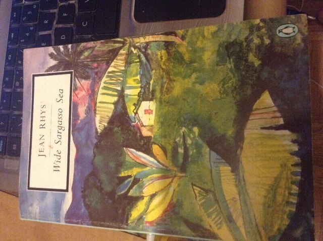 Wide Sargasso Sea by Jean Rhys - photo 3