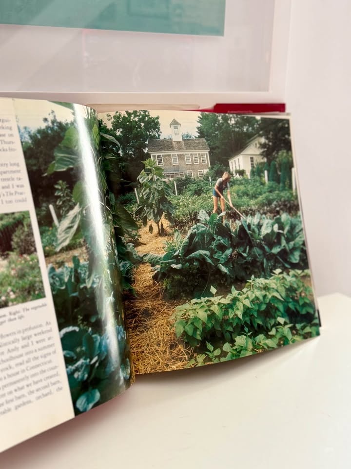 Vintage 1982 Martha Stewart Entertaining Cookbook - Pink Spine - photo 5