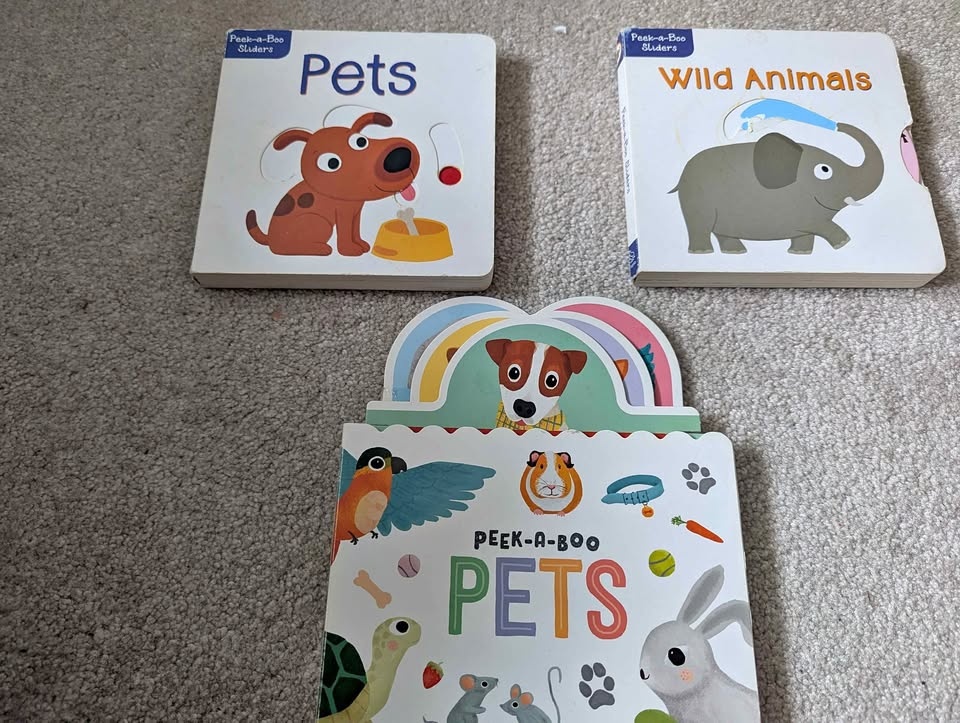 Toddler Book Purge