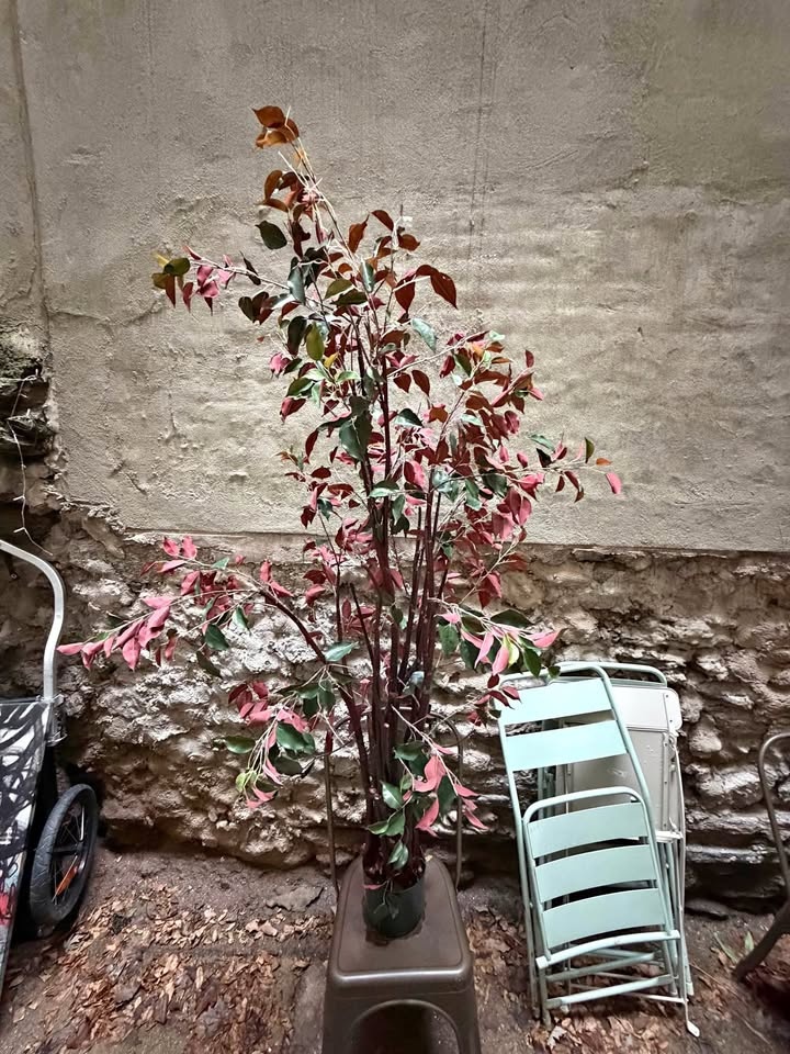Indoor / Outdoor Faux Plant