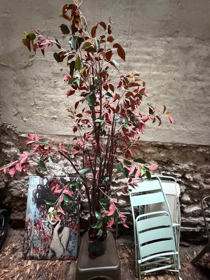 Indoor / Outdoor Faux Plant - photo 2