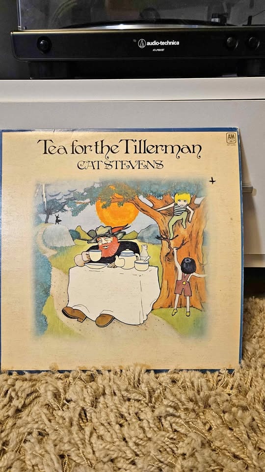 Cat Stevens Tea for the Tillerman Vinyl Record LP