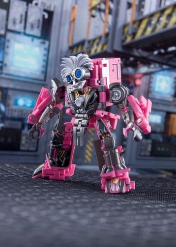 Dr.Wu MC04P Pink Einstein Brainstorm Bayverse Transformer - photo 3