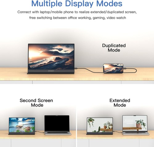 RFG 15.6Inch Display 1080P USB-C HDMI External Portable Monitor - photo 2