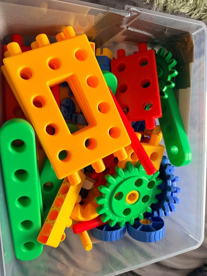 Building blocks stem for sale