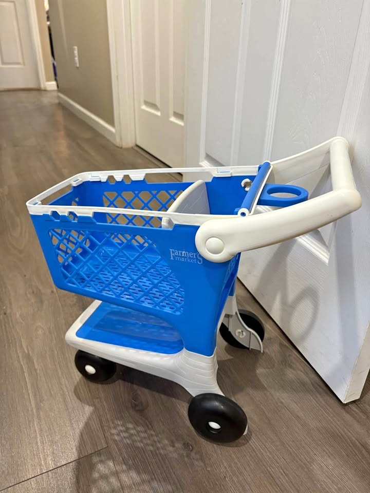 Farmers Market Shopping Cart Toy