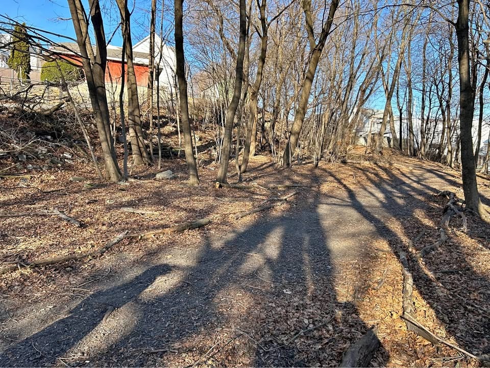 Land for sale in SHENANDOAH