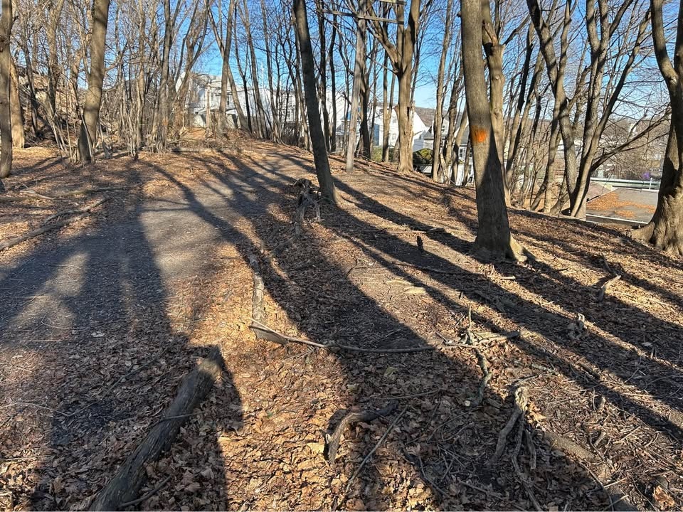 Land for sale in SHENANDOAH - photo 2