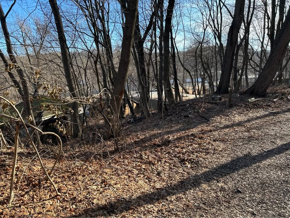 Land for sale in SHENANDOAH - photo 3